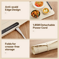 HomeGlow Electric Food Warming Mat™